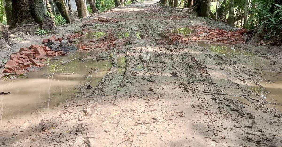 দুমকিতে সড়কের বেহাল দশা