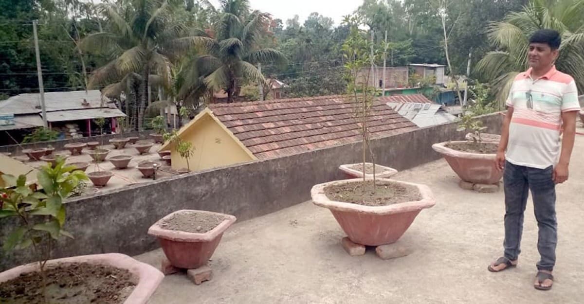 ইউপি অফিসের ছাদে চেয়ারম্যানের ফলের বাগান