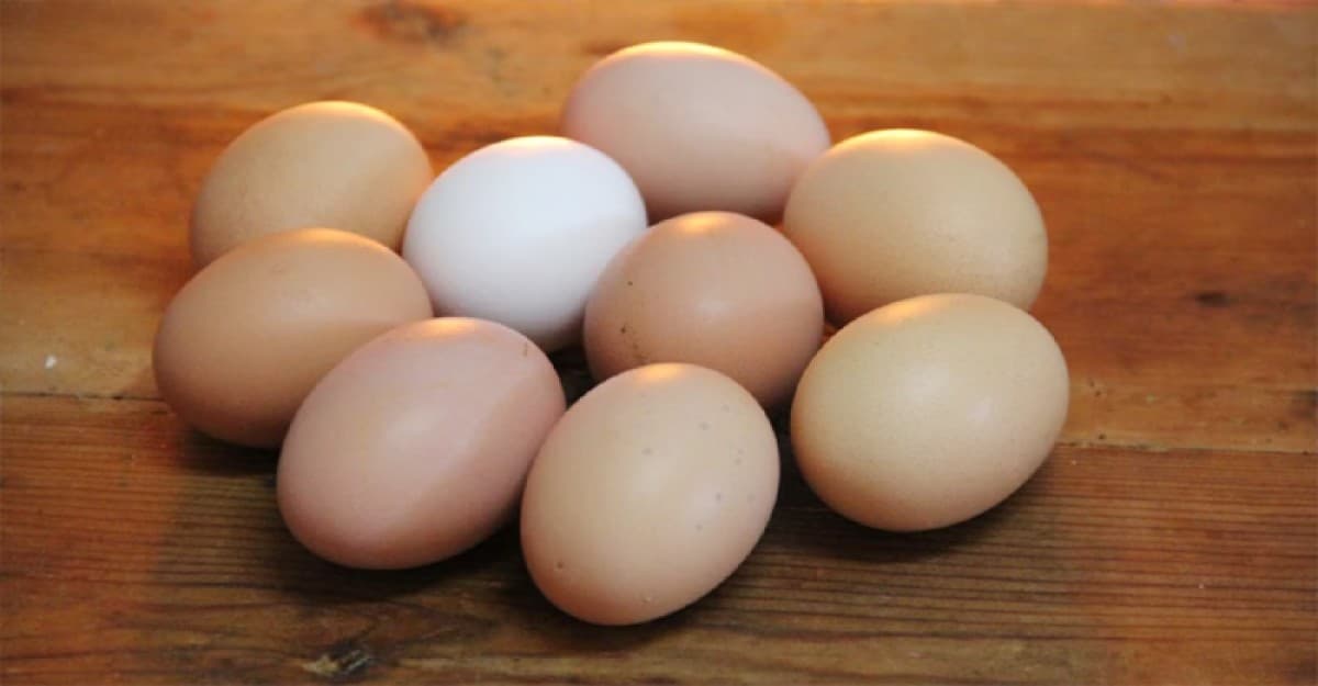 শ্রীলঙ্কায় প্রতিদিন ১০ লাখ ডিম পাঠাচ্ছে ভারত