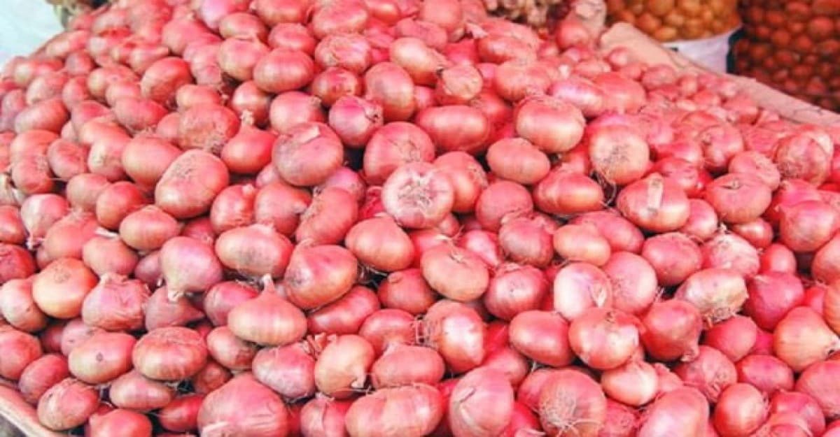 আমদানির ঘোষণার পরই কমেছে পেঁয়াজের দাম