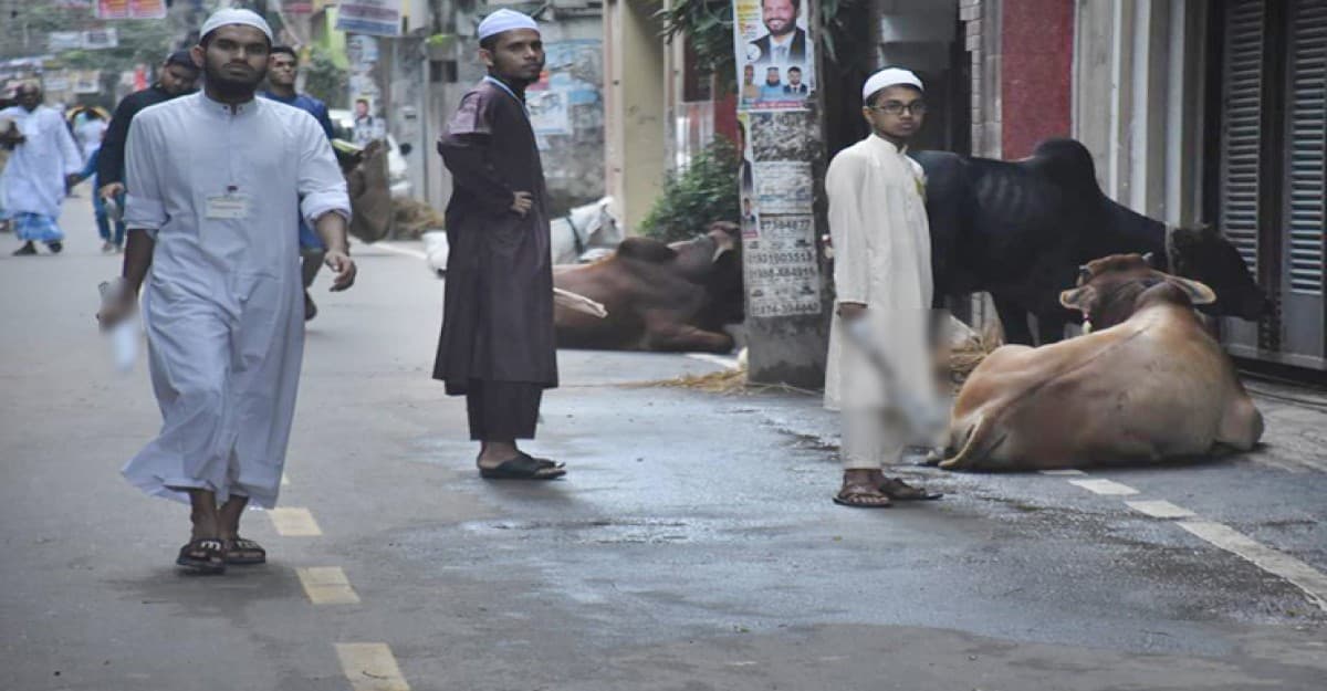 নির্ধারিত স্থানে কোরবানিসহ নিয়ন্ত্রণ কক্ষ থাকবে ডিএনসিসির