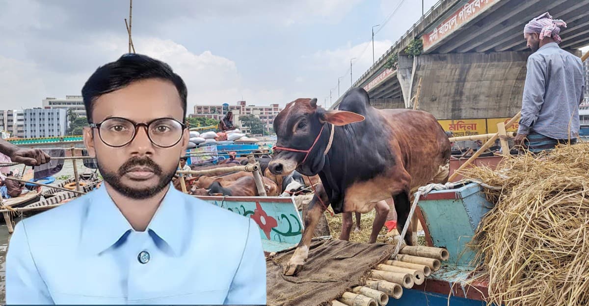 মানুষ ভালোবেসে আমার নামে গরুর নাম রাখে: হিরো আলম