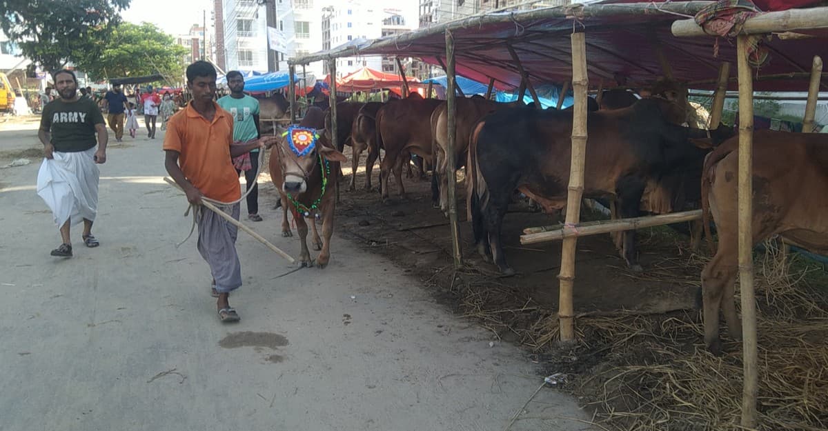 জমজমাট পশুর হাট, শেষ হাসি কার মুখে?