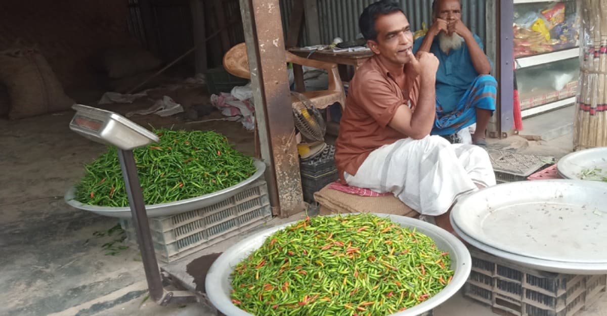 সখীপুরে কাঁচা মরিচের কেজি ৪০০ টাকা, নাজেহাল ক্রেতারা