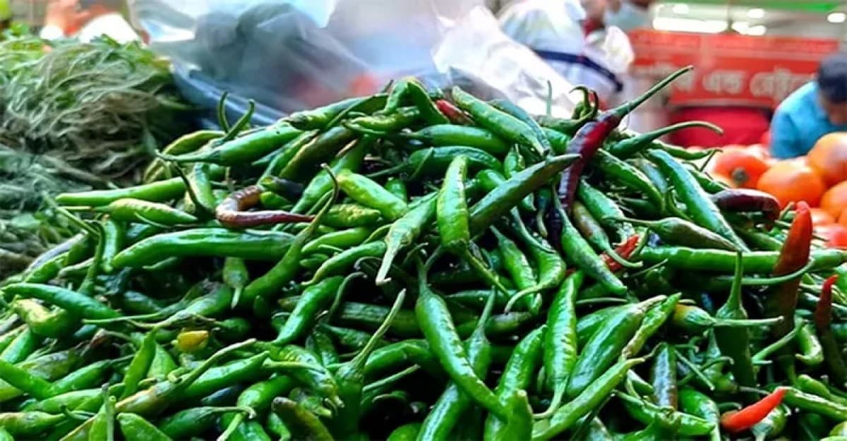 আমদানির পরদিন কাঁচা মরিচের কেজি ২০০ টাকা