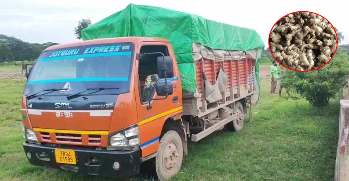 ভারত থেকে ৫ টন আদা এসেছে