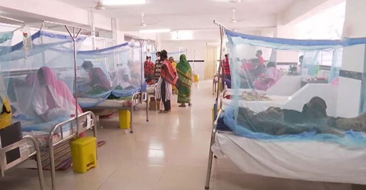 ডেঙ্গু আক্রান্ত হয়ে হাসপাতালে ভর্তি ৪৪৯