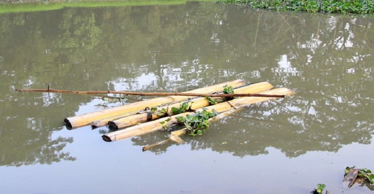 কলা গাছের ভেলা নিয়ে খেলতে গিয়ে ২ কিশোরের মৃত্যু