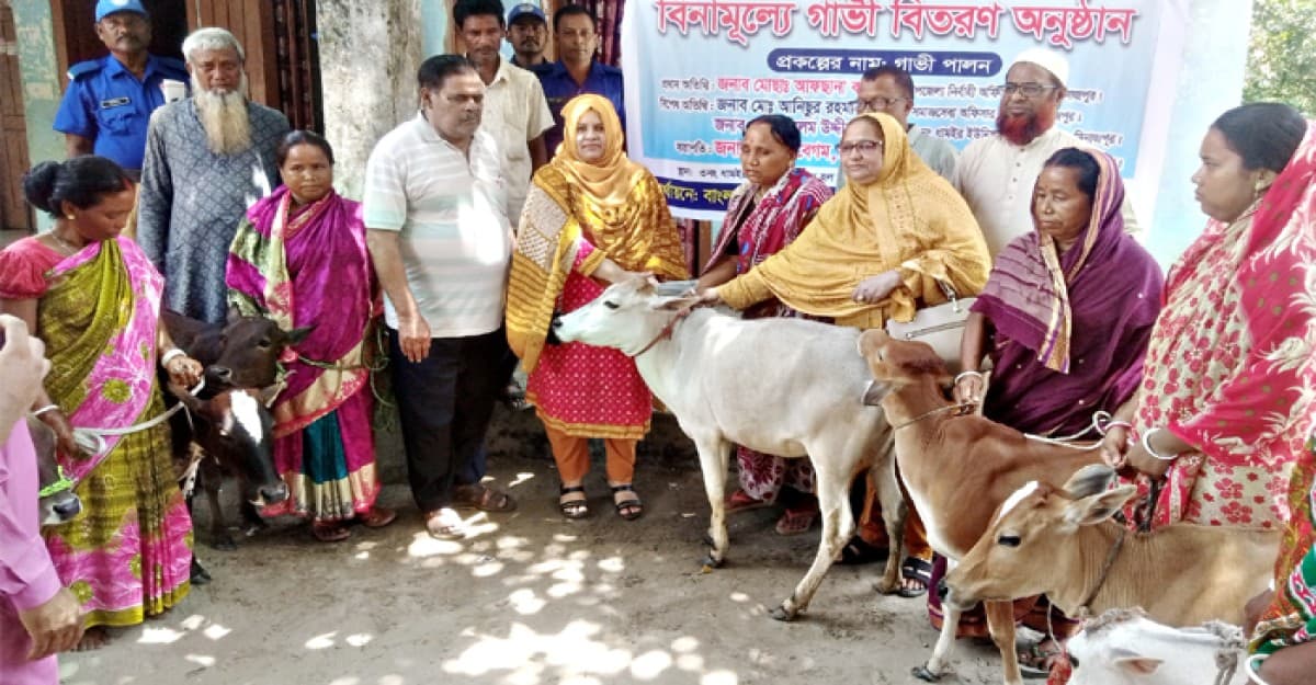 দিনাজপুরে বিনামূল্যে গাভী বিতরণ