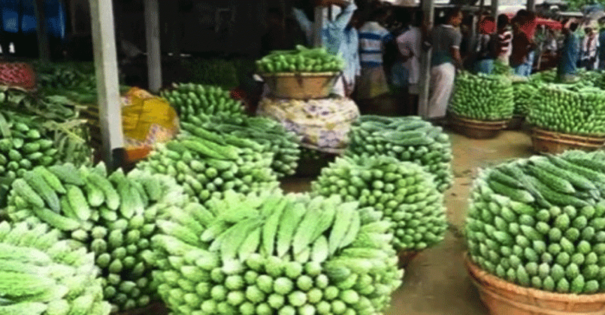 মুন্সীগঞ্জে সবজির প্রাচুর্য, দাম নিয়ে খুশি নন কৃষক