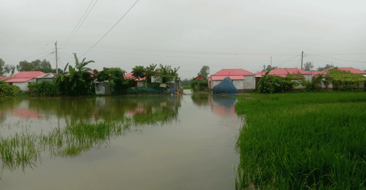 ডিমলায় আশ্রয়ণ প্রকল্পের ৫০ টি পরিবার পানিবন্দি