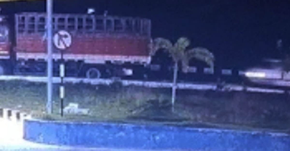 ভারতের তামিলনাড়ু সড়ক দুর্ঘটনায় একই পরিবারের ৬ জনের মৃত্যু