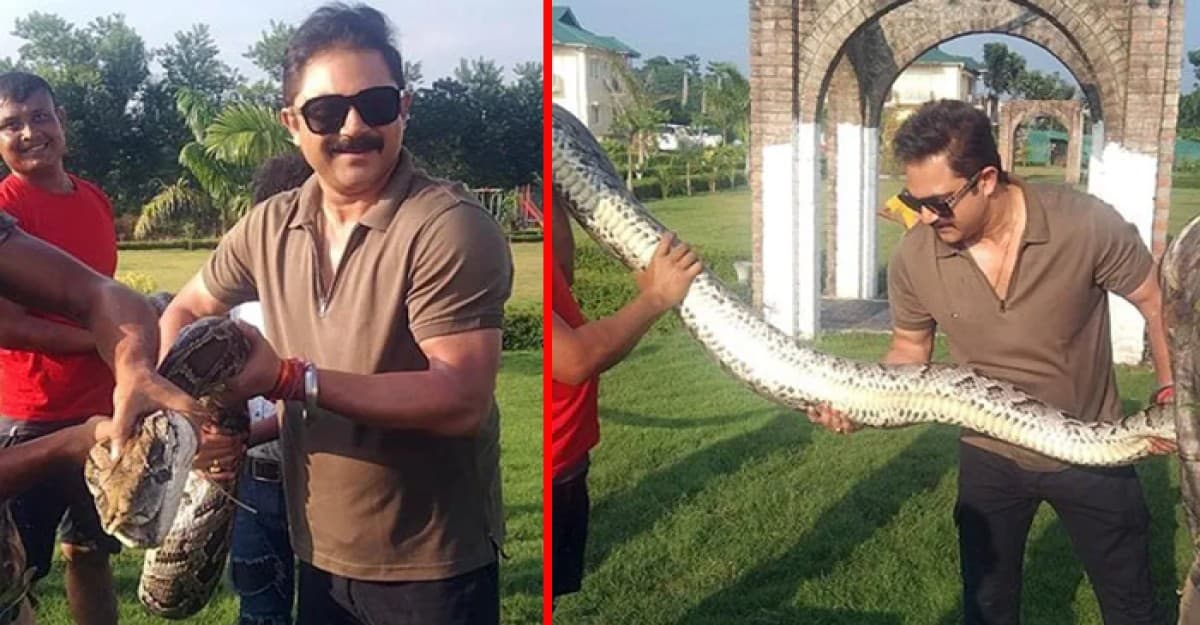 হঠাৎ দেব-সোহমের শুটিং সেটে ঢুকে পড়লো অজগর