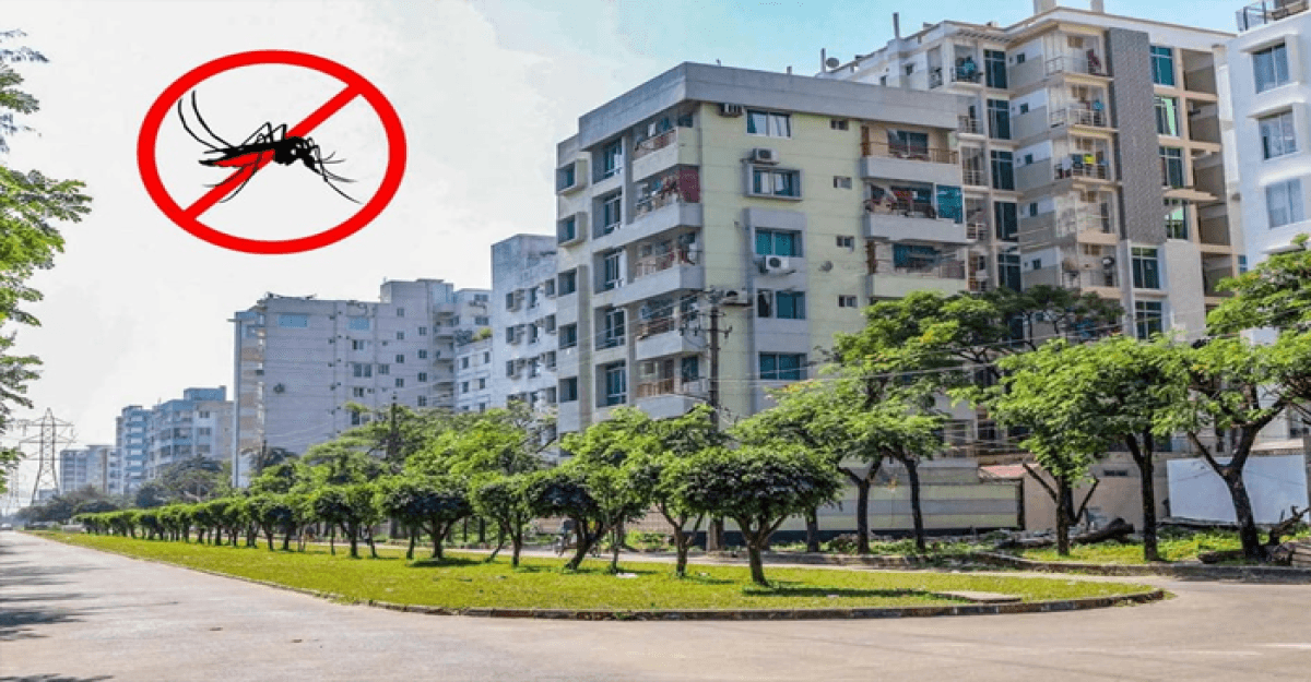 বসুন্ধরা আবাসিক: মশা নিয়ন্ত্রণে এক সফলতার গল্প