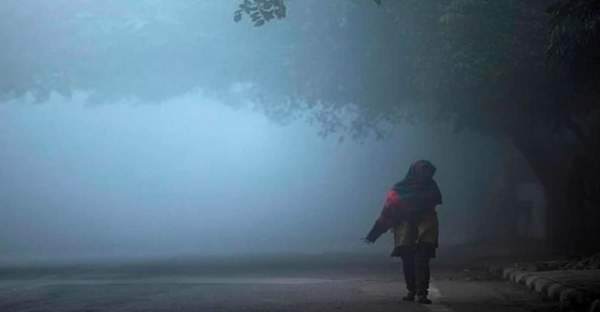 নিয়ে নিন শীতের আগাম প্রস্তুতি