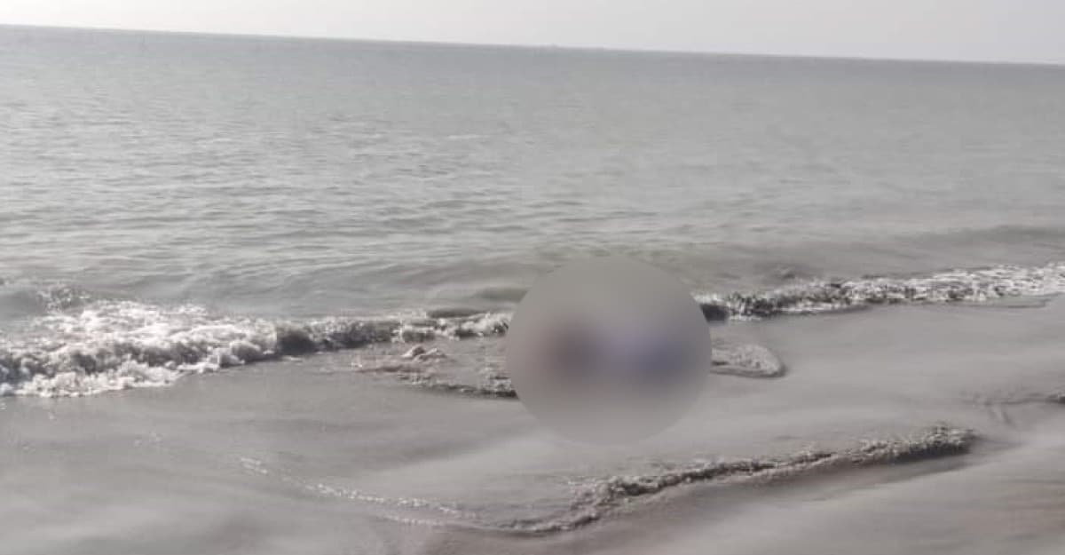 কুয়াকাটা সৈকত থেকে অজ্ঞাত ব্যক্তির মরদেহ উদ্ধার