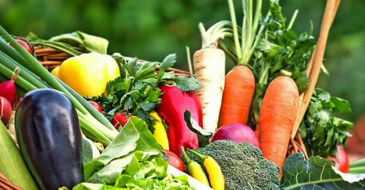 শীতকালে সুস্থ থাকতে যেসব ফল ও সবজি খাবেন