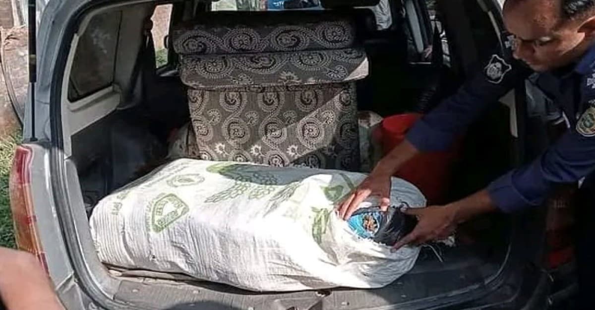 প্রাইভেট কার থেকে ২০ কেজি গাঁজা উদ্ধার, আটক ১