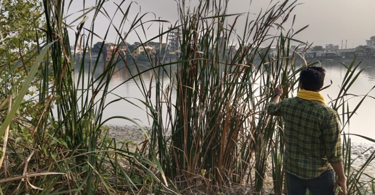 গ্রাম বাংলার ঐতিহ্য হোগলা পাতা বিলুপ্তির পথে