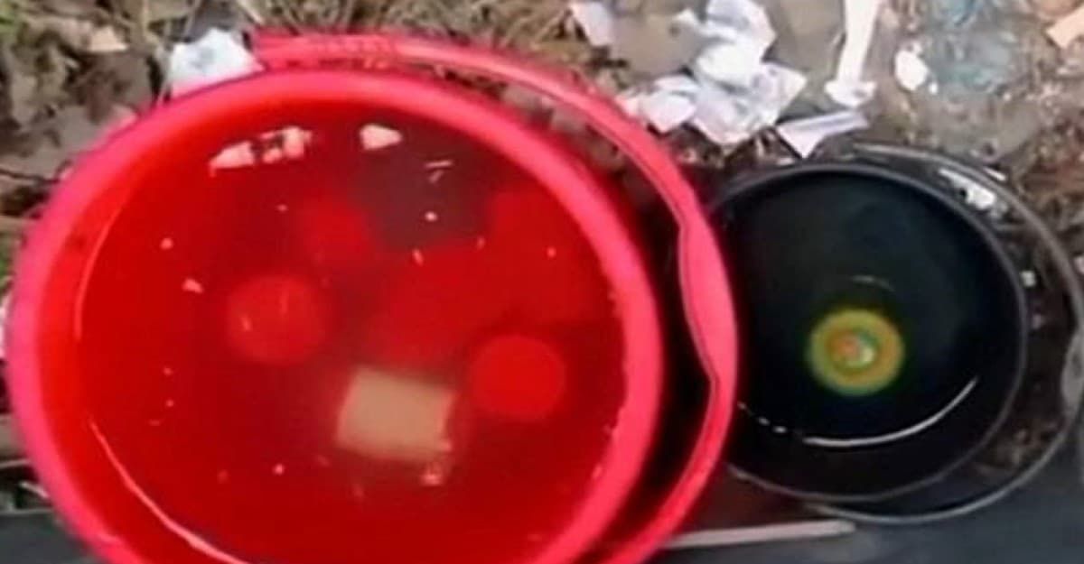 ইবিতে ৬টি ককটেল সদৃশ বস্তু উদ্ধার, আতঙ্কে শিক্ষার্থীরা