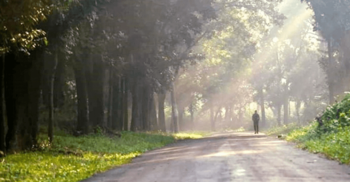অবশেষে রোদের দেখা মিলেছে, কত দিন থাকবে?