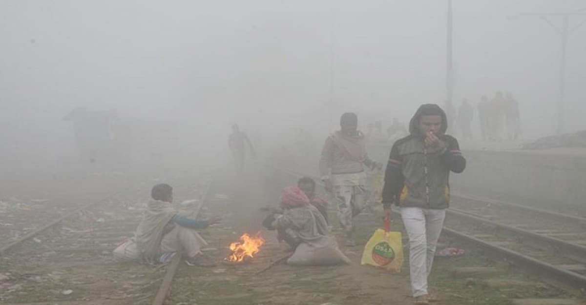 মাঘ মাসে বাঘ কাঁপে, শীতে কাঁপছে ঢাকা
