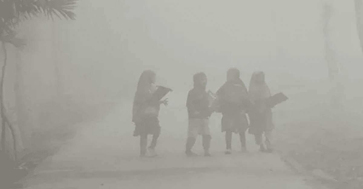 শৈত্যপ্রবাহ নিয়ে যা জানান আবহাওয়া অফিস