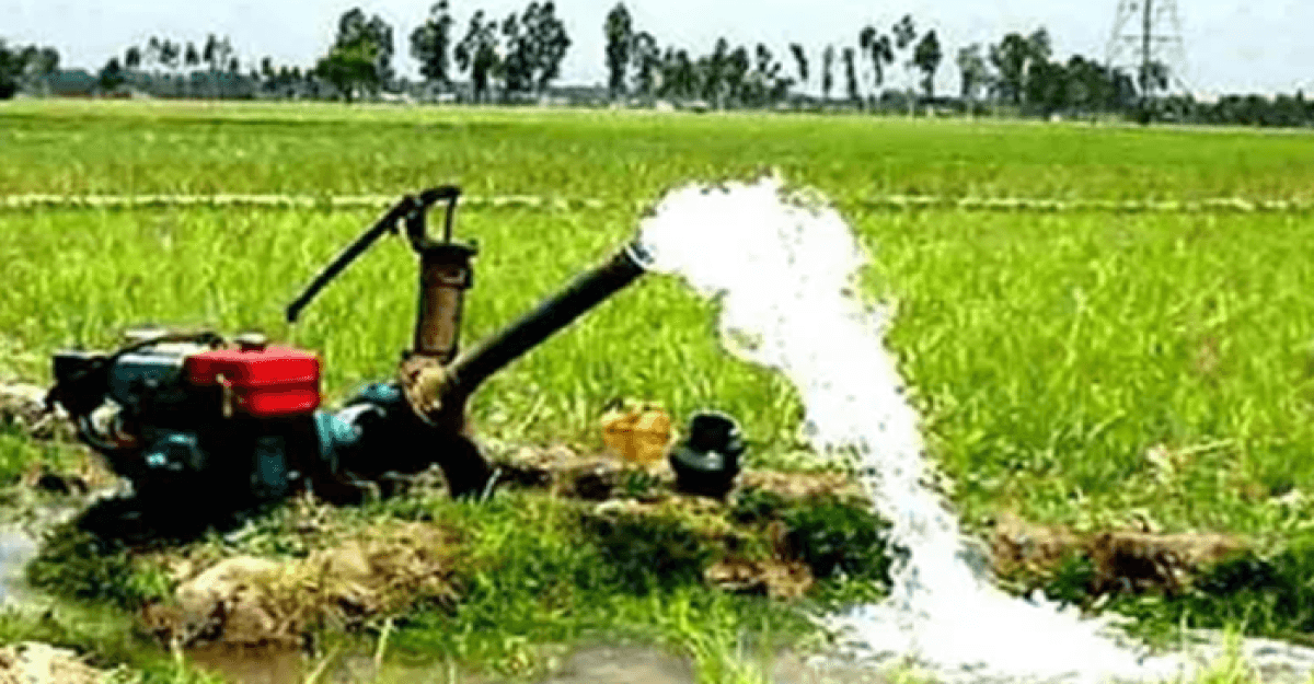 সেচযন্ত্র  চলবে রাত ১১টা থেকে সকাল ৭টা পর্যন্ত