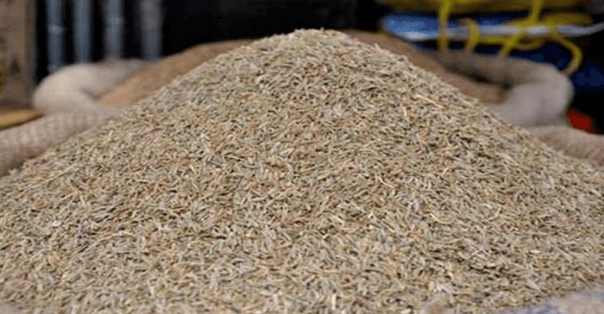 হিলিতে জিরার দাম কেজিতে কমলো ৪০০ টাকা