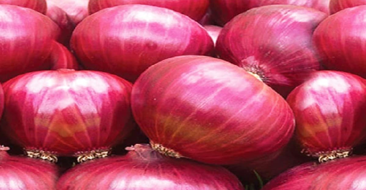 আমদানির খবরে কমতে শুরু করেছে পেঁয়াজের দাম