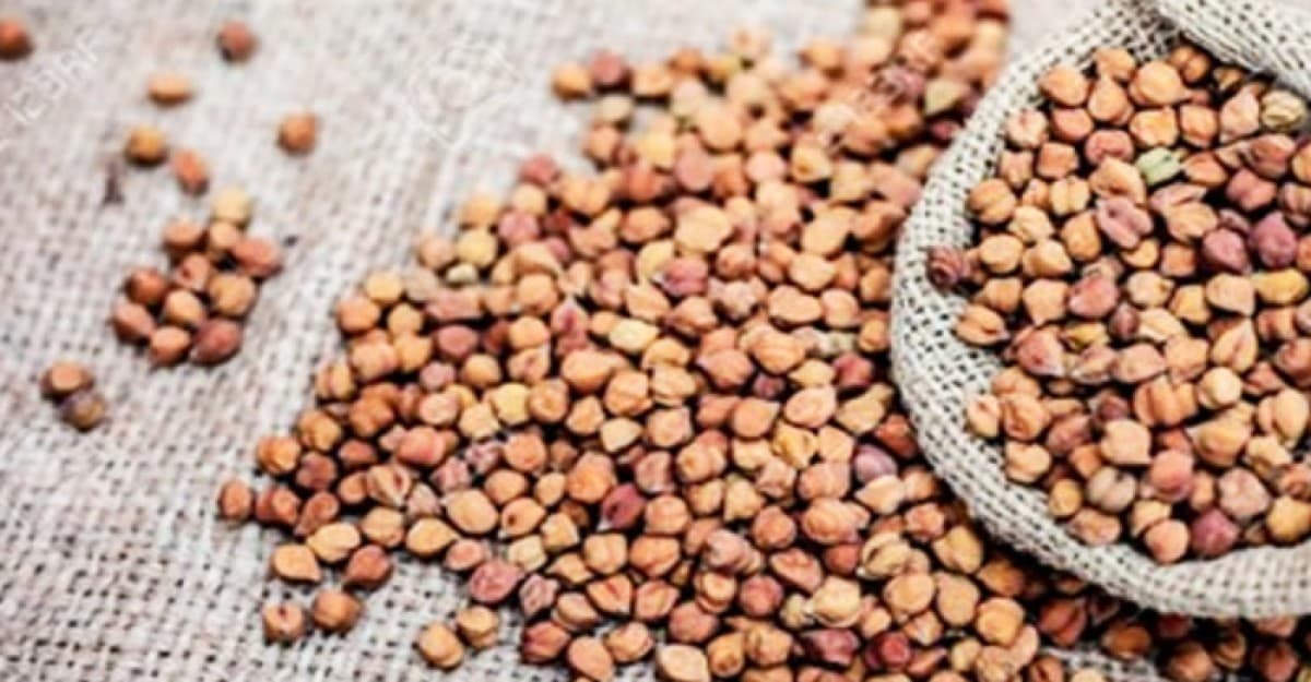 মূল্যবৃদ্ধি নিয়ন্ত্রণে এক সপ্তাহে ১৪০০ মেট্রিক টন ছোলা আমদানি