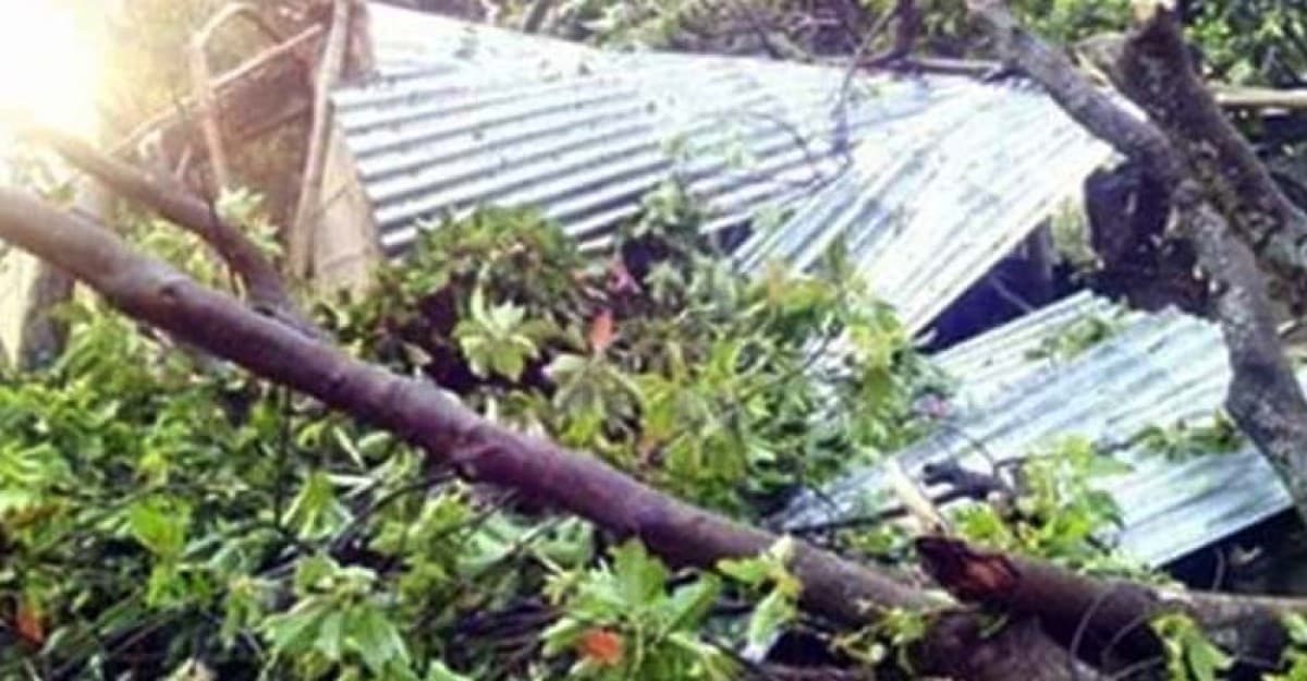 বাউফলে ভয়াবহ কালবৈশাখী ঝড়ে নিহত ২