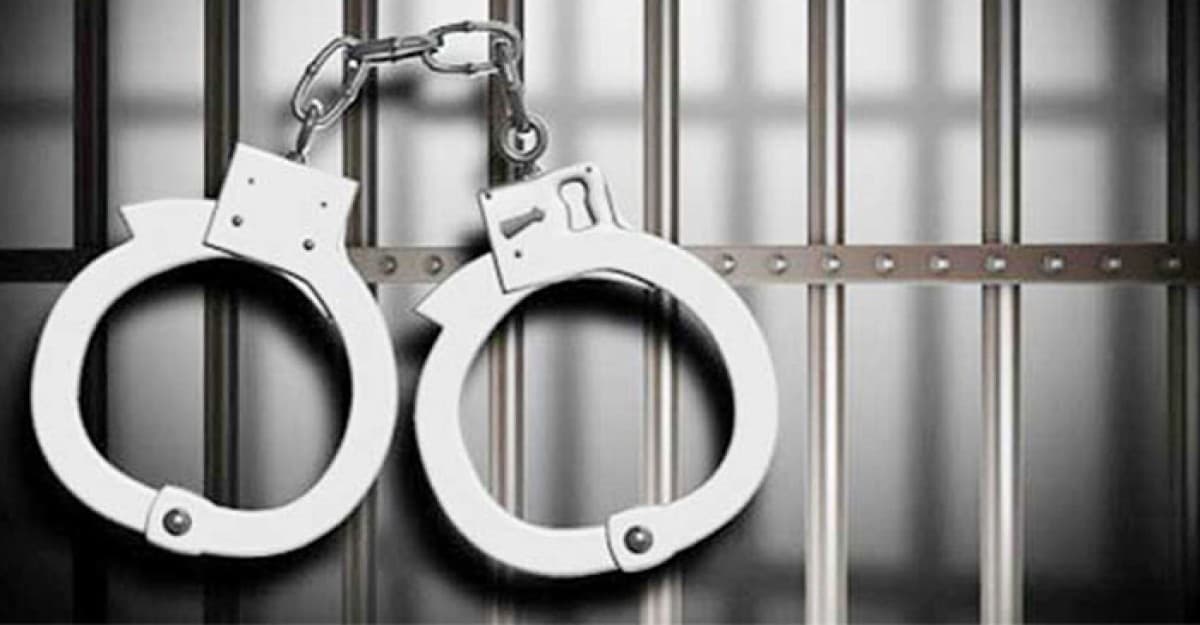 সনদ বাণিজ্য: কারিগরি শিক্ষা বোর্ডের চেয়ারম্যানের স্ত্রী গ্রেফতার