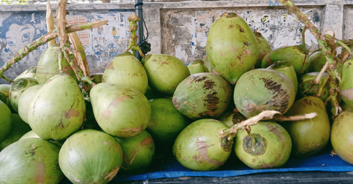 গরমকে পুঁজি বানিয়ে ক্রেতাদের পকেট কাটছে ডাব ব্যাবসায়ীরা