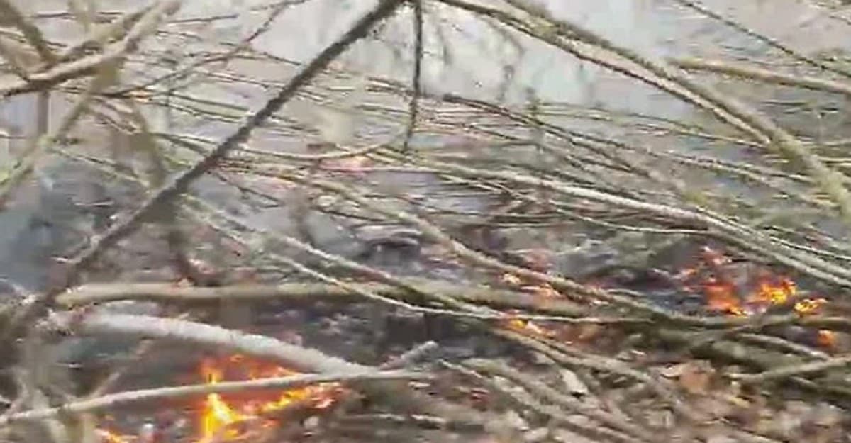 সুন্দরবনে ভয়াবহ আগুন