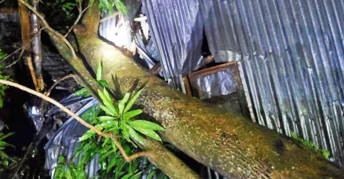 কালবৈশাখী ঝড়ে গাছচাপায় প্রাণ গেল মা-ছেলের