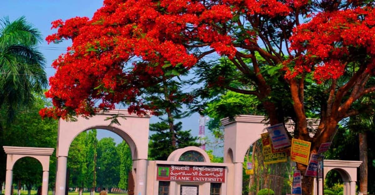 ইবিতে নিষেধাজ্ঞা অমান্য করে ভবনে প্রবেশের ঘটনায় তদন্ত কমিটি