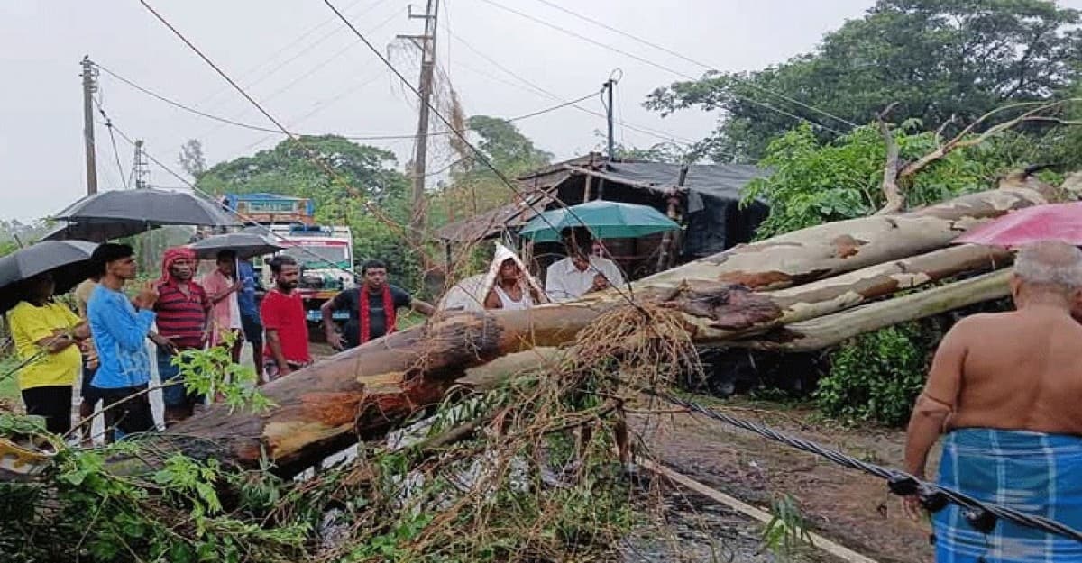 রেমালের তাণ্ডবে সারাদেশে প্রাণ গেল ২১ জনের