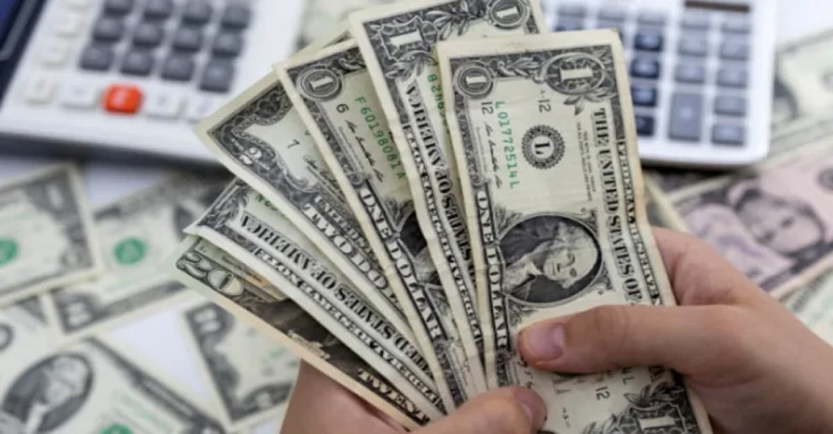 মে মাসে রেমিট্যান্স এলো ২২৫ কোটি ডলার