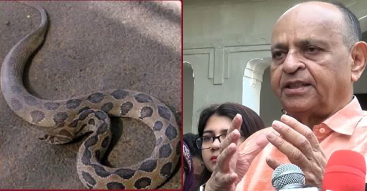 রাসেলস ভাইপার নিয়ে যা জানালেন স্বাস্থ্যমন্ত্রী