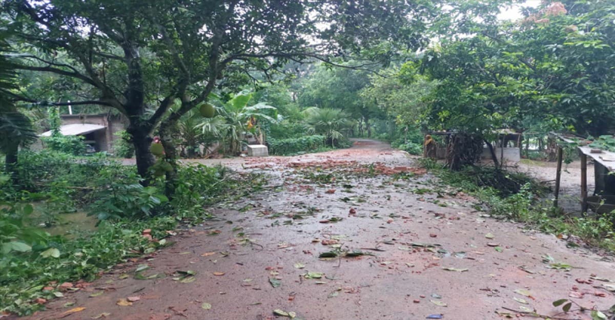কুষ্টিয়ায় আধিপত্য বিস্তারকে কেন্দ্র করে  দুই পক্ষের সংঘর্ষে আহত অন্তত ১৫