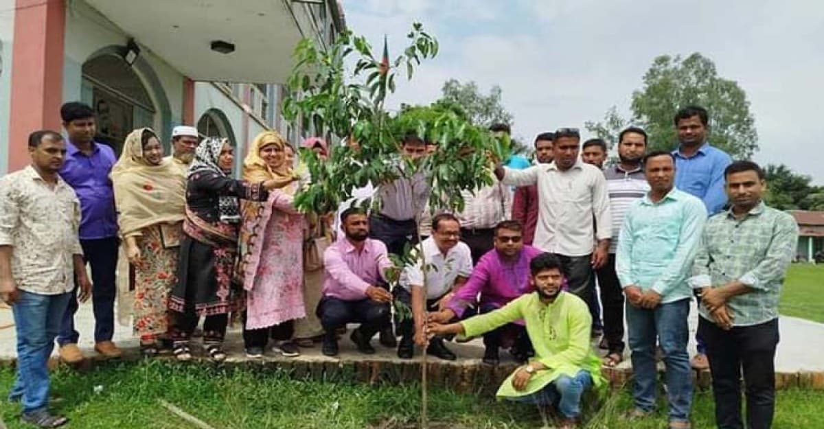 শেরপুর মডেল কলেজে বৃক্ষ রোপন কর্মসূচির উদ্ভোধন