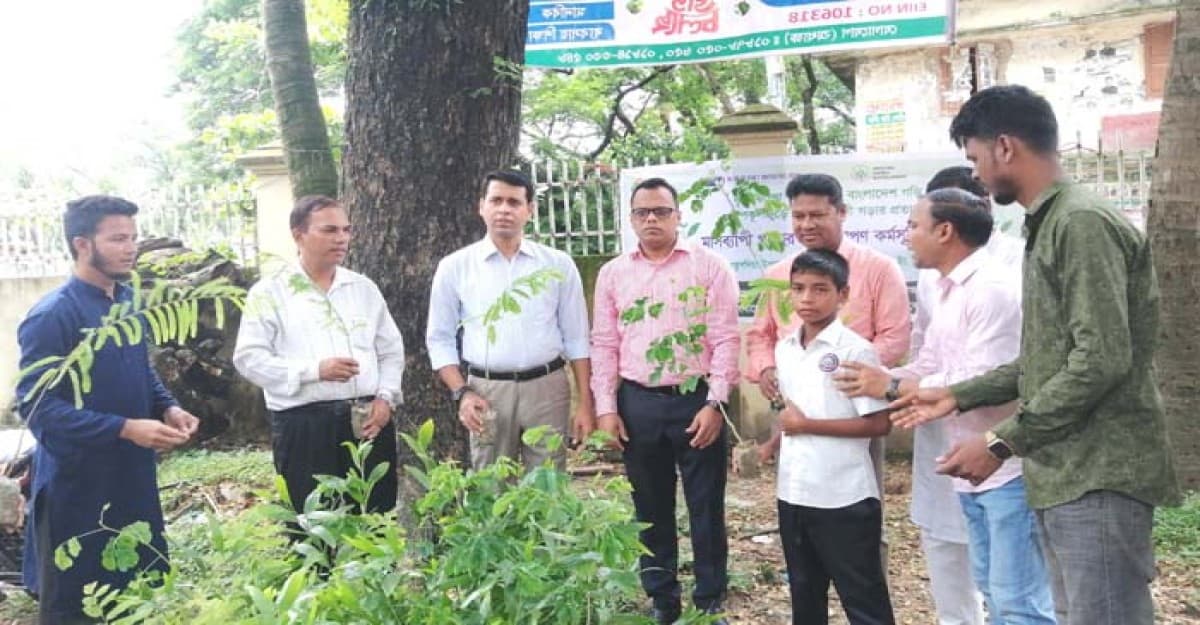 কুতুবদিয়ায় মাসব্যাপি বৃক্ষরোপন কর্মসূচি উদ্বোধন
