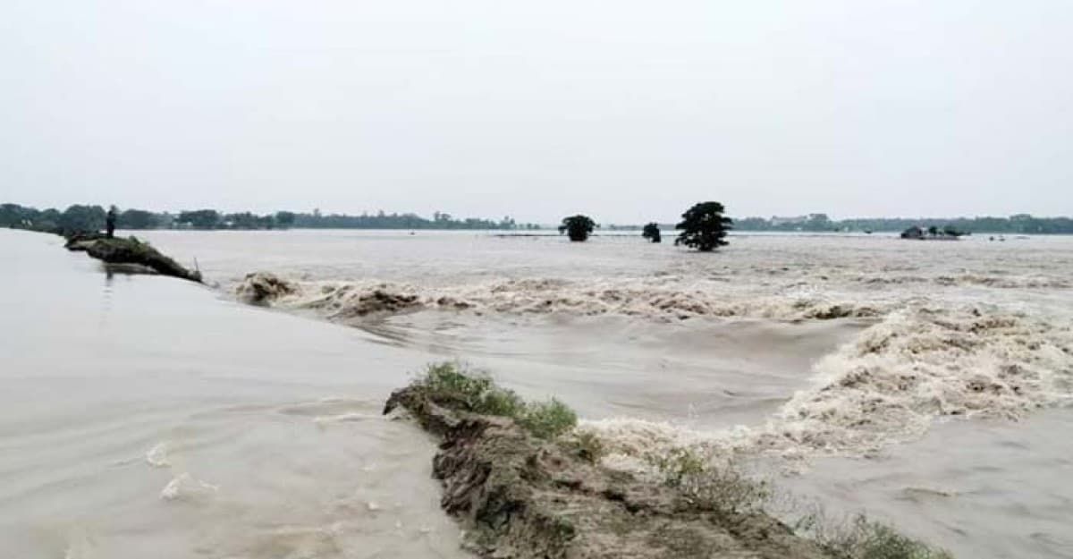 বন্যায় ১২ জেলায় ক্ষতি ২ লাখ ২১ হাজার হেক্টর জমির ফসল
