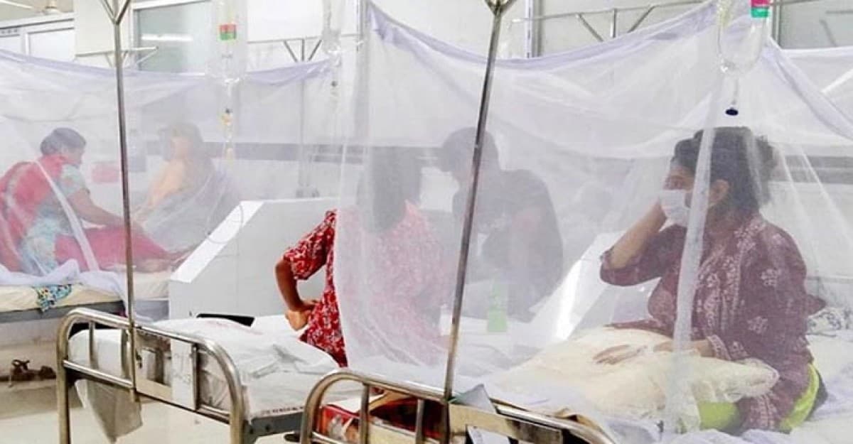 সারা দেশজুড়ে ভয়াবহ আকার ধারণ করছে ডেঙ্গু
