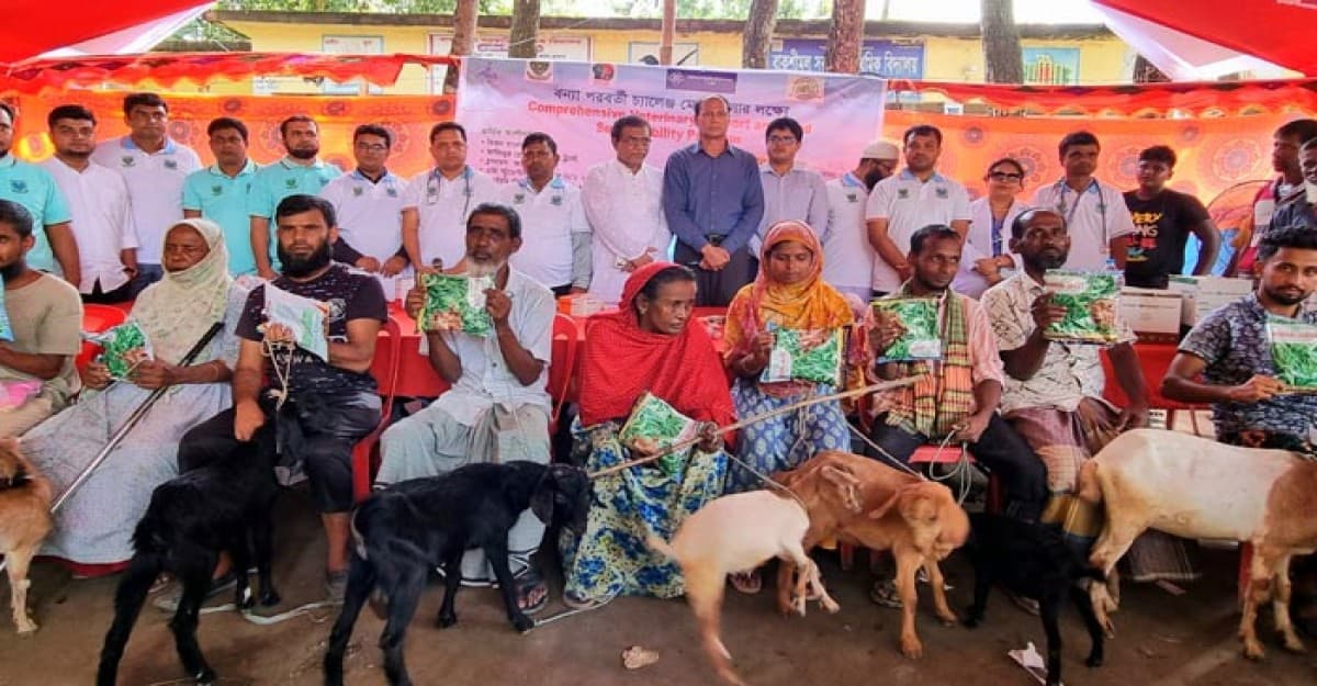 বাকৃবি শিক্ষার্থীদের উদ্যোগে বন্যায় ক্ষতিগ্রস্ত ৫'শ কৃষকদের জন্য সমন্বিত পশুচিকিৎসা-খাদ্য কর্মসূচি