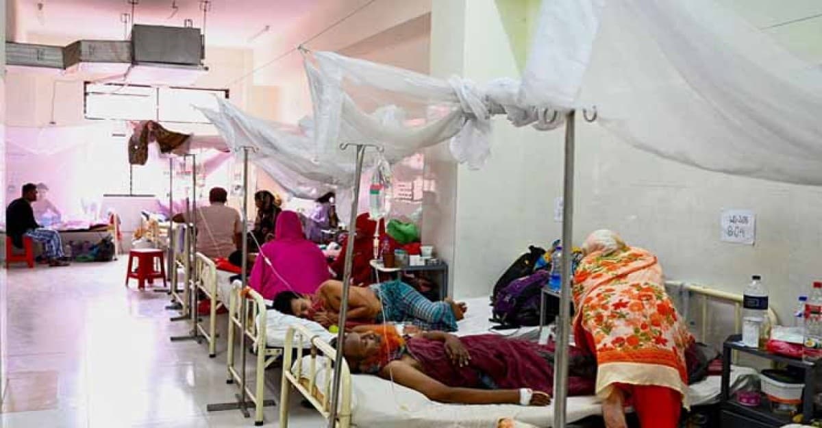 চোখ রাঙাচ্ছে ডেঙ্গু, আরও ৫ জনের প্রাণহানি