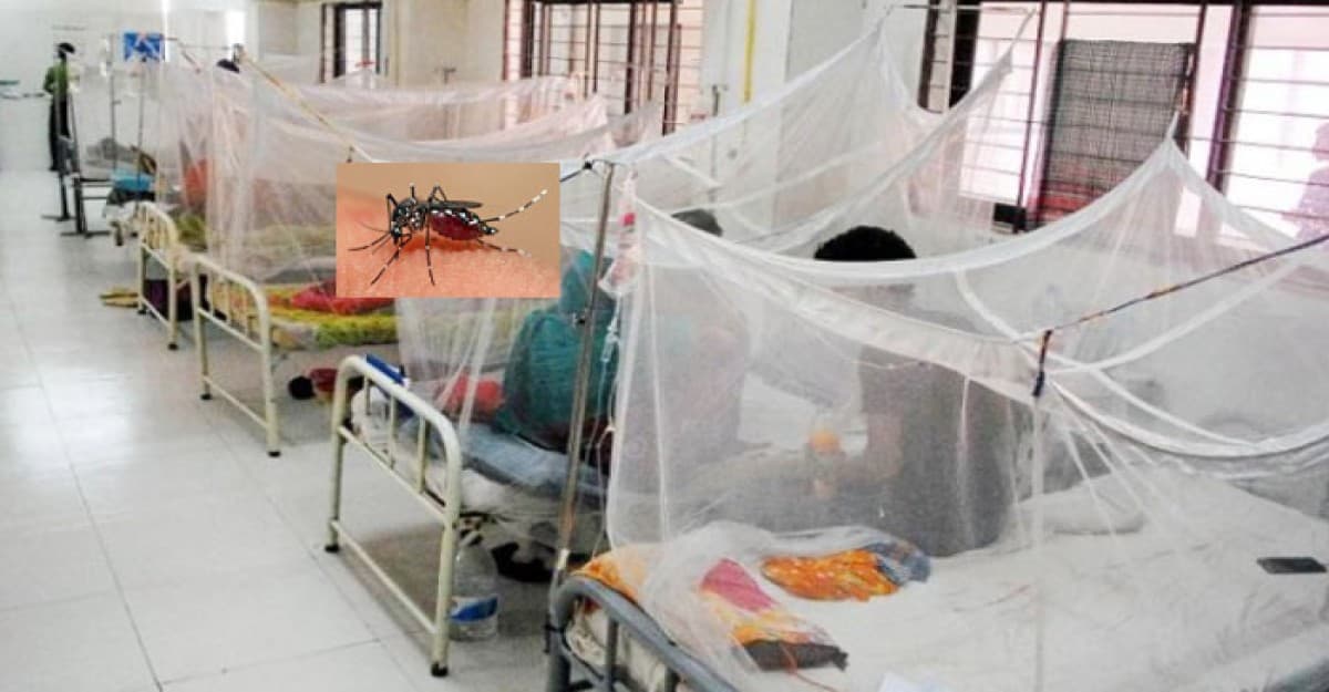ভয়াবহ রূপ নিচ্ছে ডেঙ্গু, বাড়ছে শিশু মৃত্যু