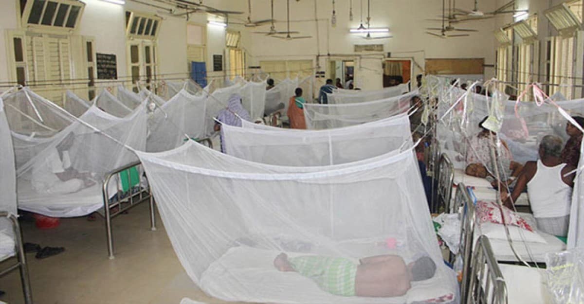 ডেঙ্গুতে একদিনে আরও ৩ জনের মৃত্যু