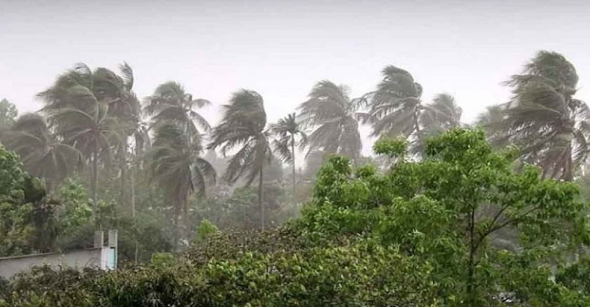 সন্ধ্যার মধ্যে যেসব জায়গায় বজ্রসহ বৃষ্টি হতে পারে